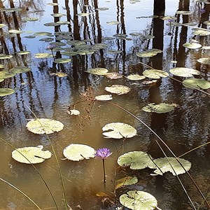 Emma Lagoon Day Use Area