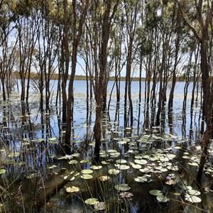 Emma Lagoon Day Use Area