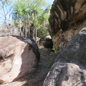 Boulders and pandanus