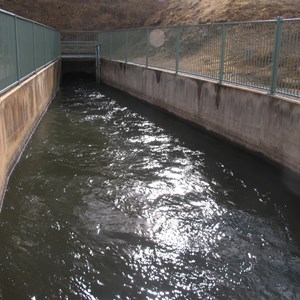 Flume with tunnel outlet behind