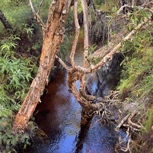 Searys Creek Day Use Area