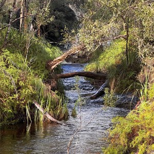 Searys Creek Day Use Area