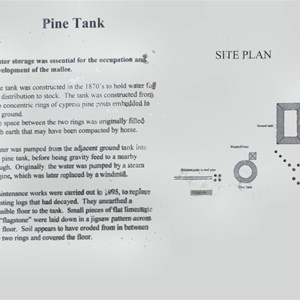 Long Plain Tank