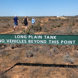 Long Plain Tank