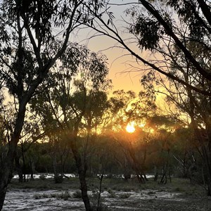 Yellow Gums Camp