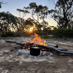 Yellow Gums Camp