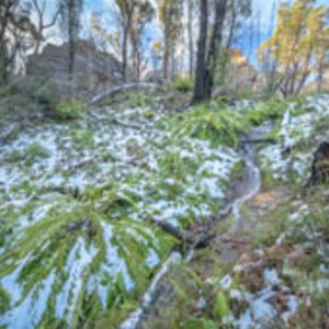 a good snowfall at Dobbs Drift lookout