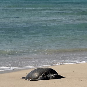 Graveyards Windsurfing And  Kiting Spot