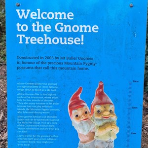 Gnome Treehouse