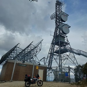 Towermans MT BENAMBRA