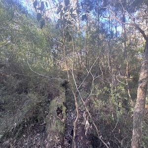 Ruin: Kelly's (approx)