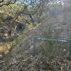 Ruin: Mount Tarrengower Tunnel