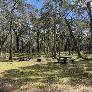 Wrights Horse Camp Corral East