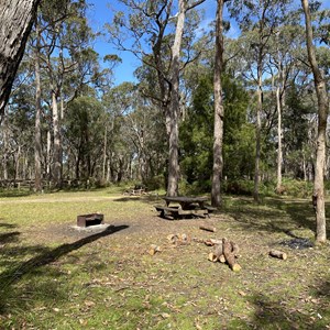 Wrights Horse Camp Corral East
