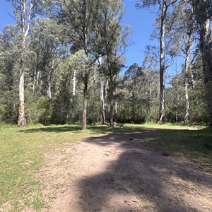 Speculation Road Camp