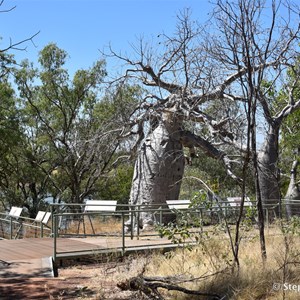 Gregory's Tree