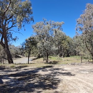 Barwon River Camp #2
