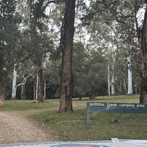 Griffiths Creek Campground