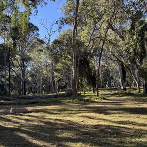 Griffiths Creek Campground