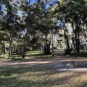 Griffiths Creek Campground