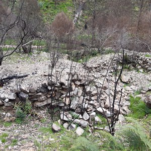 Sassafras Cemetery