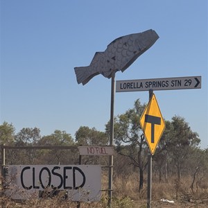 Lorella Springs  T/O
