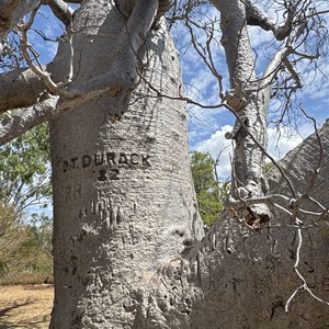 Bullita Homestead