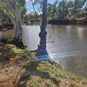 North Pool