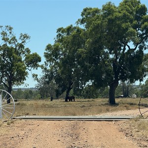 Humbert River