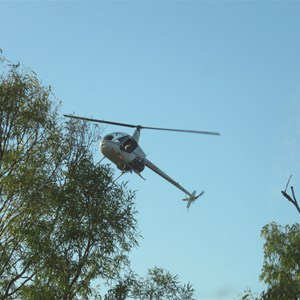 Helicopter mustering May 2022