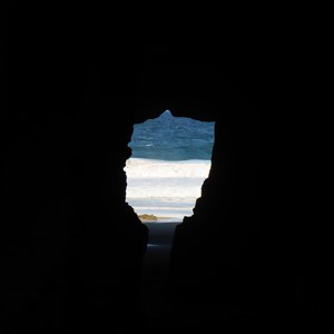 Tassie in silhouette