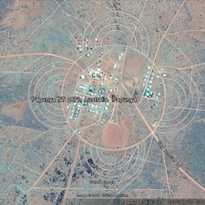 Papunya from a height
