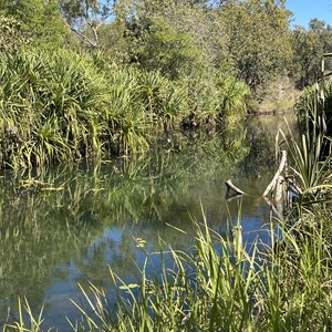 Dingo Creek Lagoon Campsite