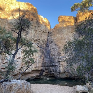 Kungku Kamu (Fig Tree) Waterhole