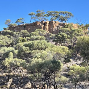 Kungku Kamu (Fig Tree) Waterhole