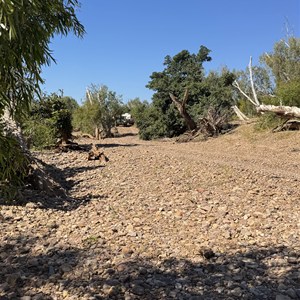 Gregory River Start Track Camp