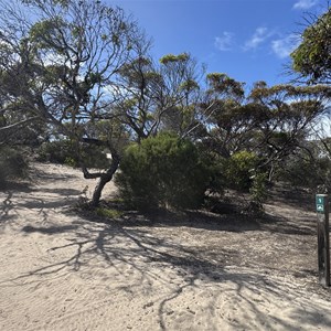MacLaren Point Campground