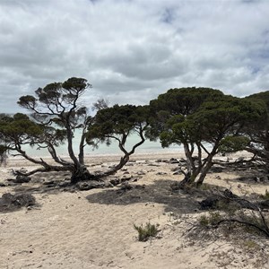 Black Springs Campground