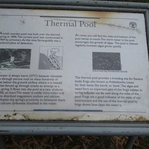 Pool history