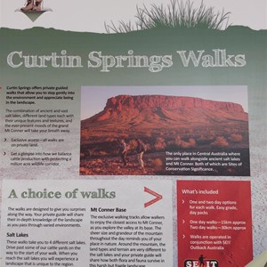 Curtin Springs