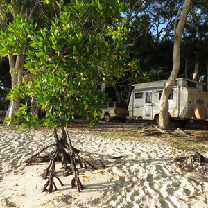 Beachside campsite