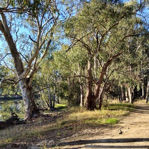 Willoughby's Beach Campground