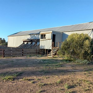 The Willows Woolshed