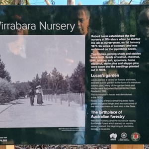 Old Wirrabara Nursery