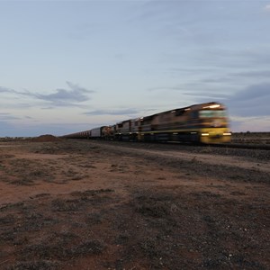 Kingoonya Campground