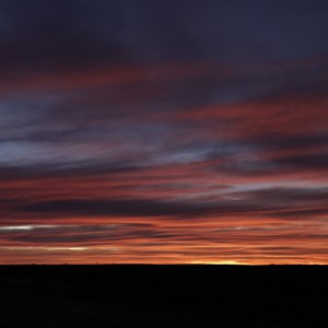 Kingoonya Campground