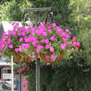 Flower pots on posts