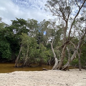 Camp On Pascoe River, North Side