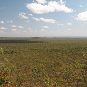 View over savannah