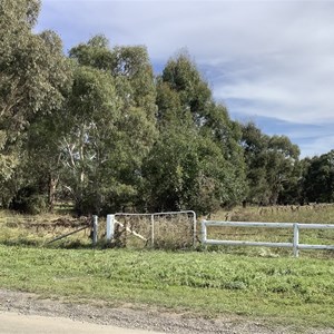 Mulwaree River Bank And Approach